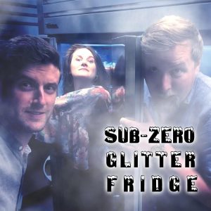 Sub-zero Glitter Fridge